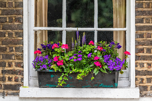 Fototapeta Naklejka Na Ścianę i Meble -  Closeup view of brick yellow wall by window potted plant in aged weathered basket pot outside on window sill with lavender, blue salvia and geranium colorful flowers in Chelsea, London UK