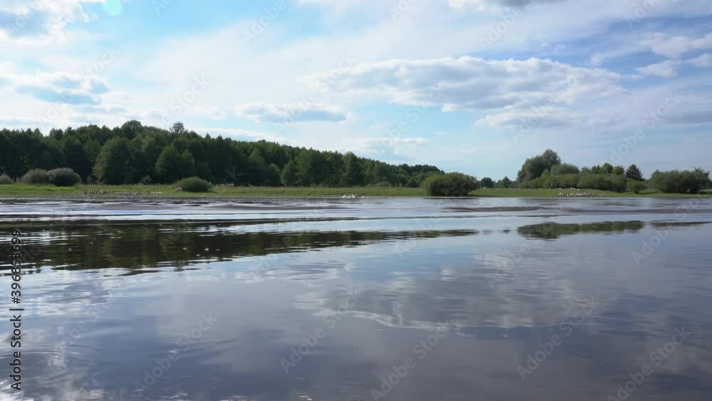 Beautiful green summer landscape. Green trees growing on shores of river and blue sunny sky. Beautiful green summer landscape. Green trees growing on shores of river and blue sunny sky.