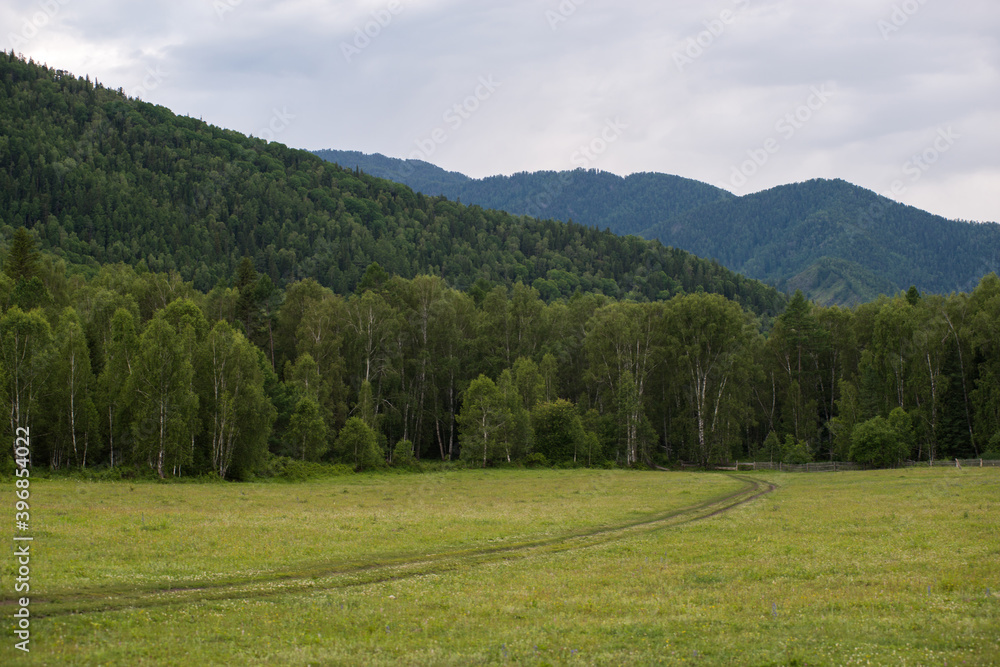 country road in the mountain forests of the Altai mountains