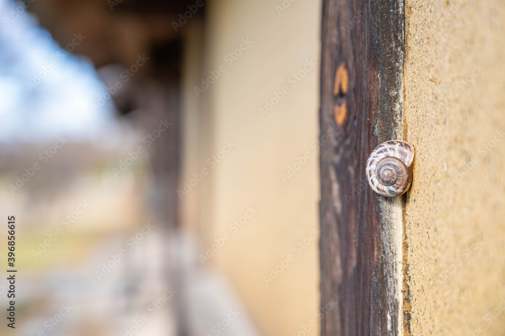 43 Best 和風家屋 Images Stock Photos Vectors Adobe Stock
