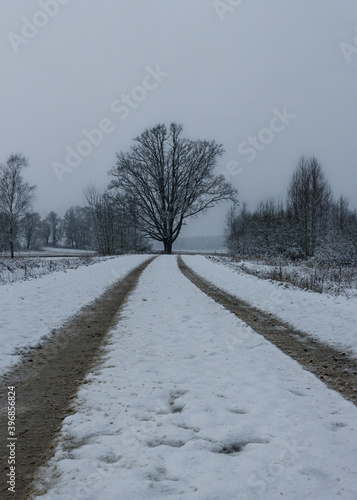 Tire marks snow covered country road, frozen winter trees, grey color sky