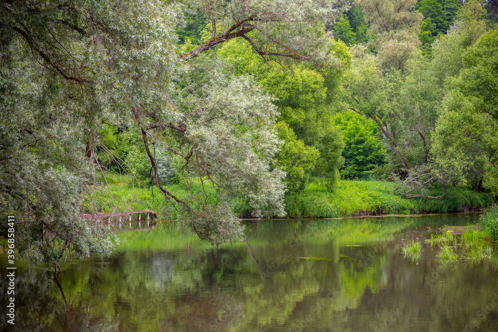 Beautiful summer landscape with river and trees. Beautiful summer landscape with river and trees.