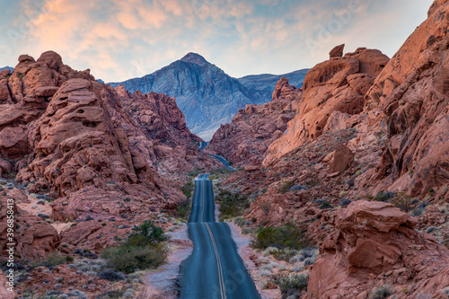 Canvas Print Desert Highway