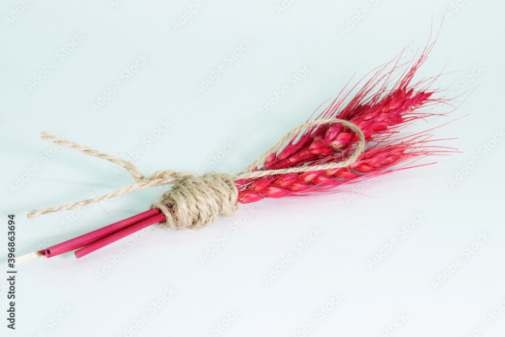 wheat ears are painted pink and tied together with a thread. Suitable for romantic expressions. wheat ears are painted pink and tied together with a thread. Suitable for romantic expressions.