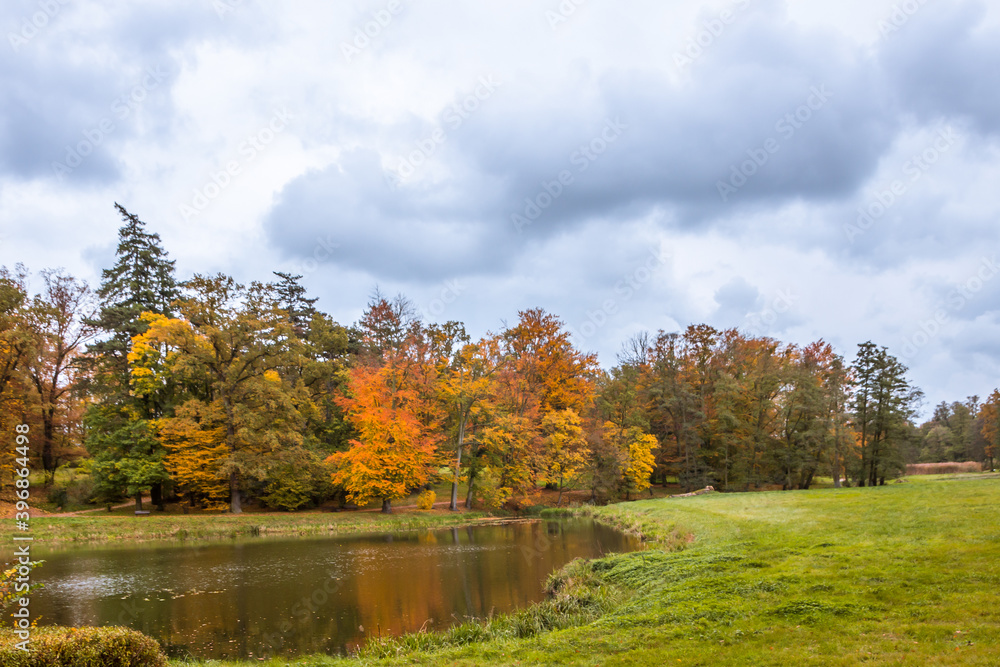 Autumn trees alley with colorful leaves in the park Autumn trees alley with colorful leaves in the park