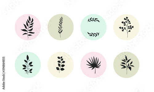 Abstract flower story highlight covers. Feminine leaf branch icons for social media hand drawn boho style. Vector illustration