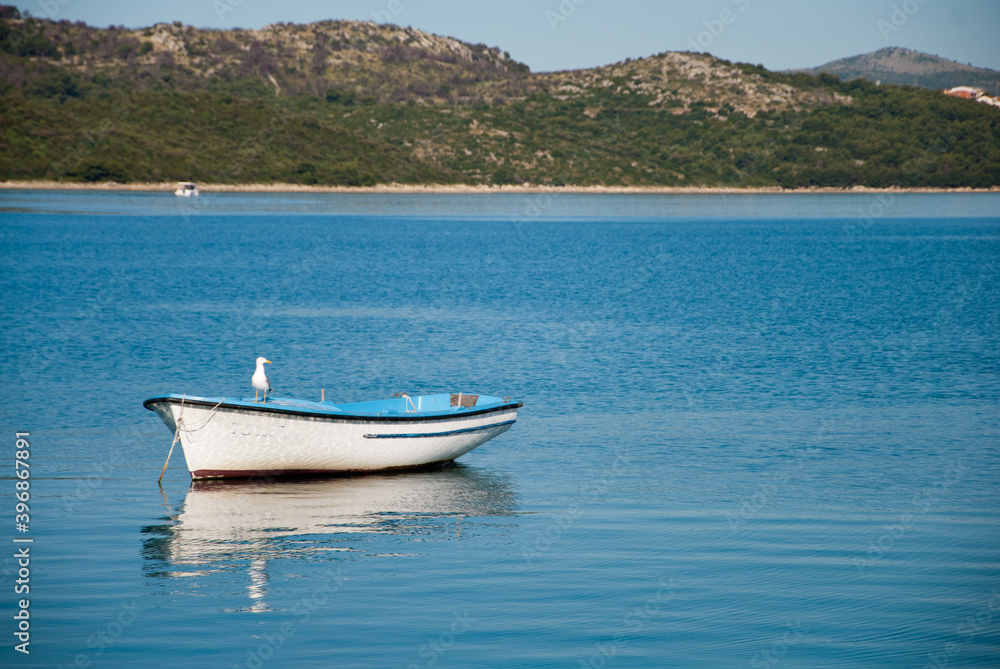 Empty boat with seagull with shore and hills in the background