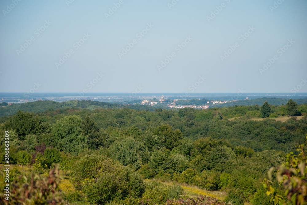Landscape with blue sky and city Nasice in the distance