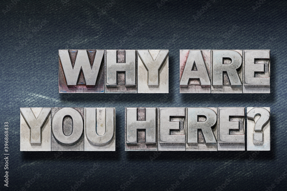 Naklejka premium why are you here den