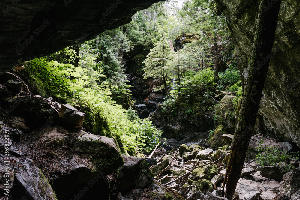 View inside Upana Caves, Gold River, Vancouver Island, British Columbia View inside Upana Caves, Gold River, Vancouver Island, British Columbia
