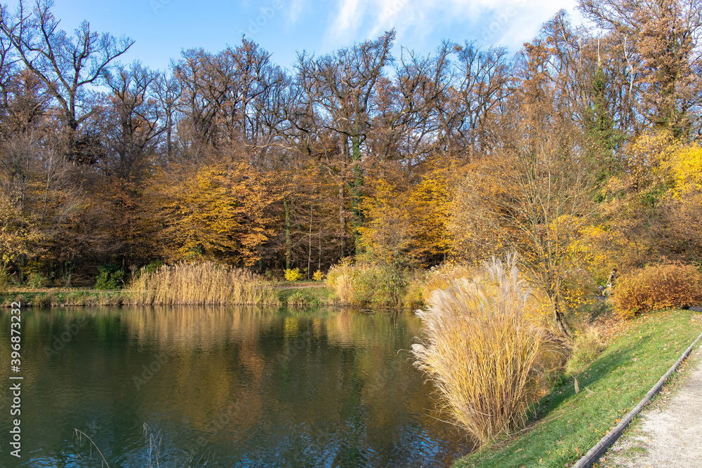 A lake with woods in the background and vibrant colors A lake with woods in the background and vibrant colors