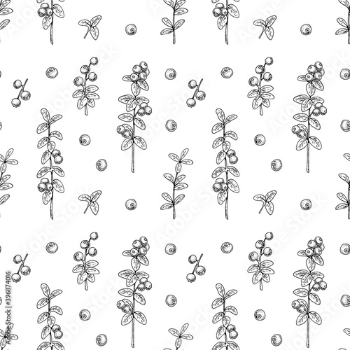 Seamless pattern with hand drawn lingonberry branches and berries isolated on white background. Vector illustration in vintage sketch style
