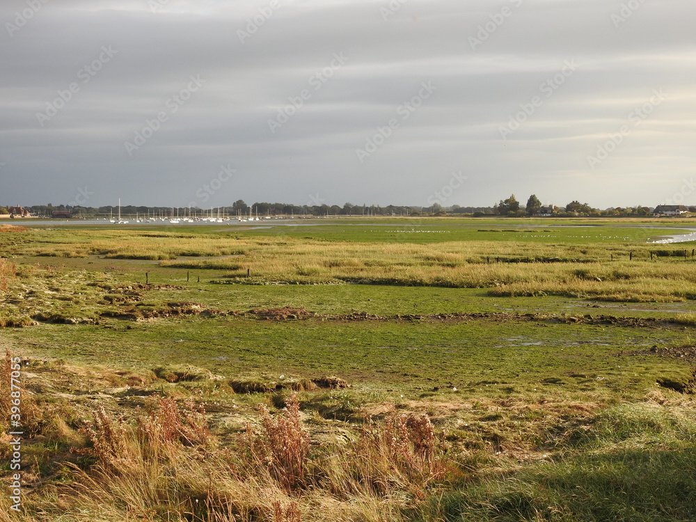 Floodplain meadows close to the bay Floodplain meadows close to the bay