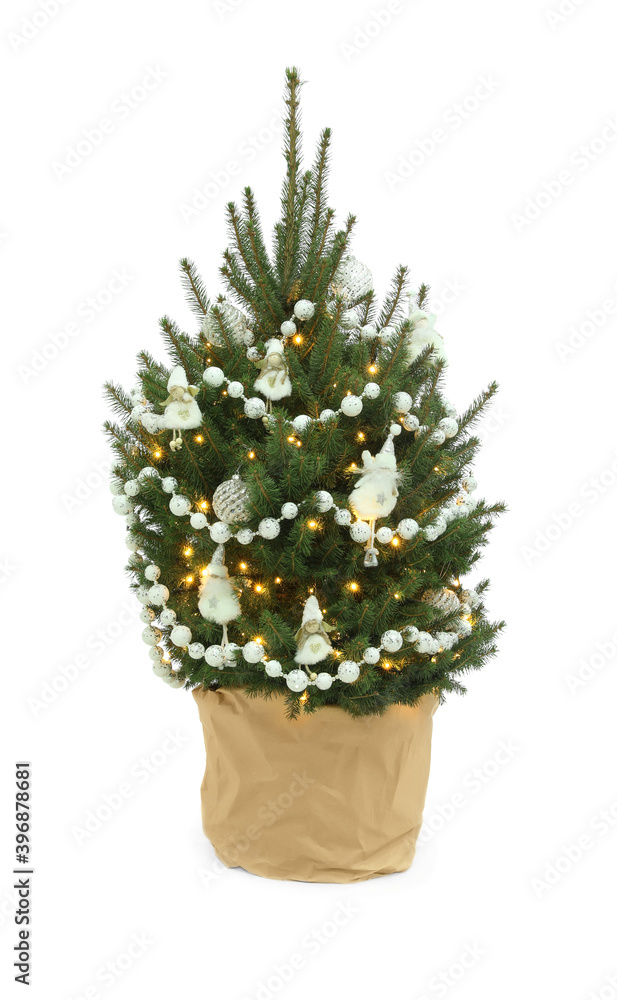 Fototapeta premium Natural decorated Christmas tree isolated on white