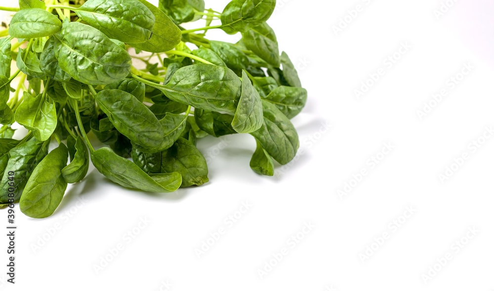 Fresh spinach leaves on white background