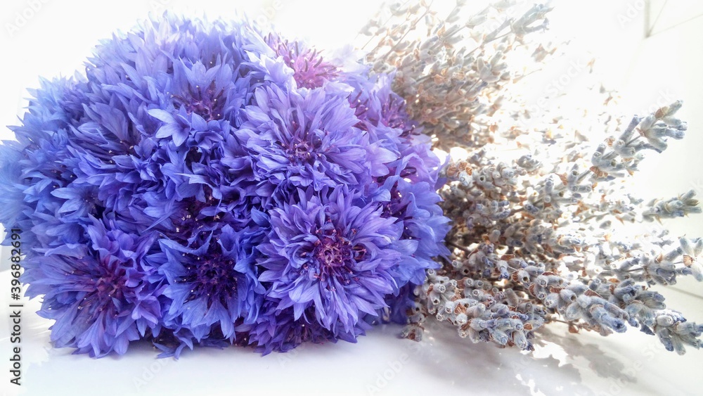 bouquet of cornflowers with lavender on a white background