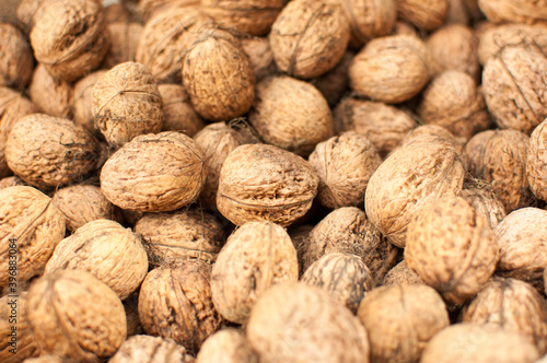 Scattered pile of walnuts