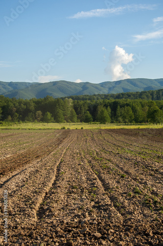 Plowed field with mountain Papuk in the background, Croatia