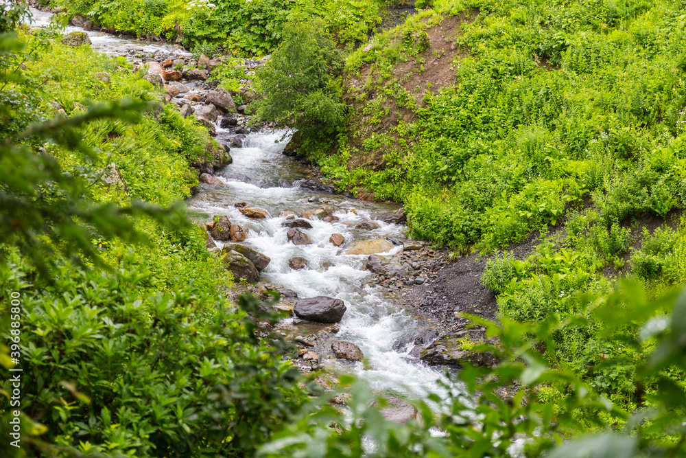 Beautiful rocky creek in the Caucasus mountains forest Beautiful rocky creek in the Caucasus mountains forest