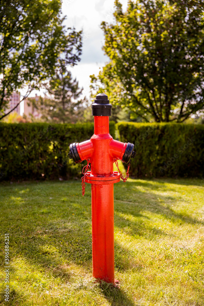 Red metal fire hydrant placed on the lawn in the garden in daylight Red metal fire hydrant placed on the lawn in the garden in daylight