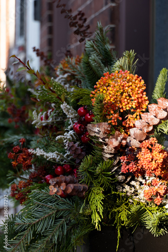 Window box arrangement filled with winter seasonal flowers and plants shot from the side