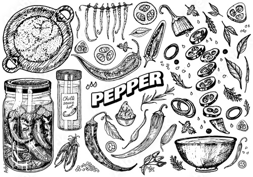 Red hot chili peppers in vintage style. Salad ingredients. Farm vegetable. Vector illustration. Hand drawn engraved retro sketch. Doodle style