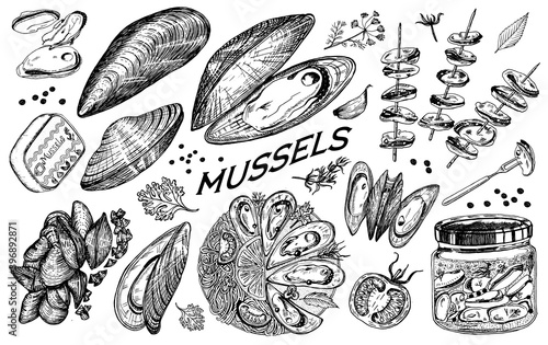 Sea mussels in vintage retro style. Nautical molluscs. Ocean food. Vector illustration. Hand drawn engraved retro sketch. Antique old monochrome style.