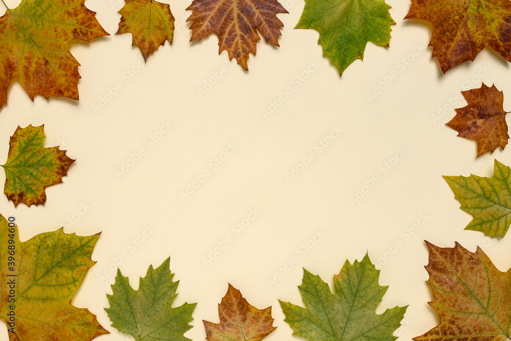 Obraz premium Creative autumn leaves background