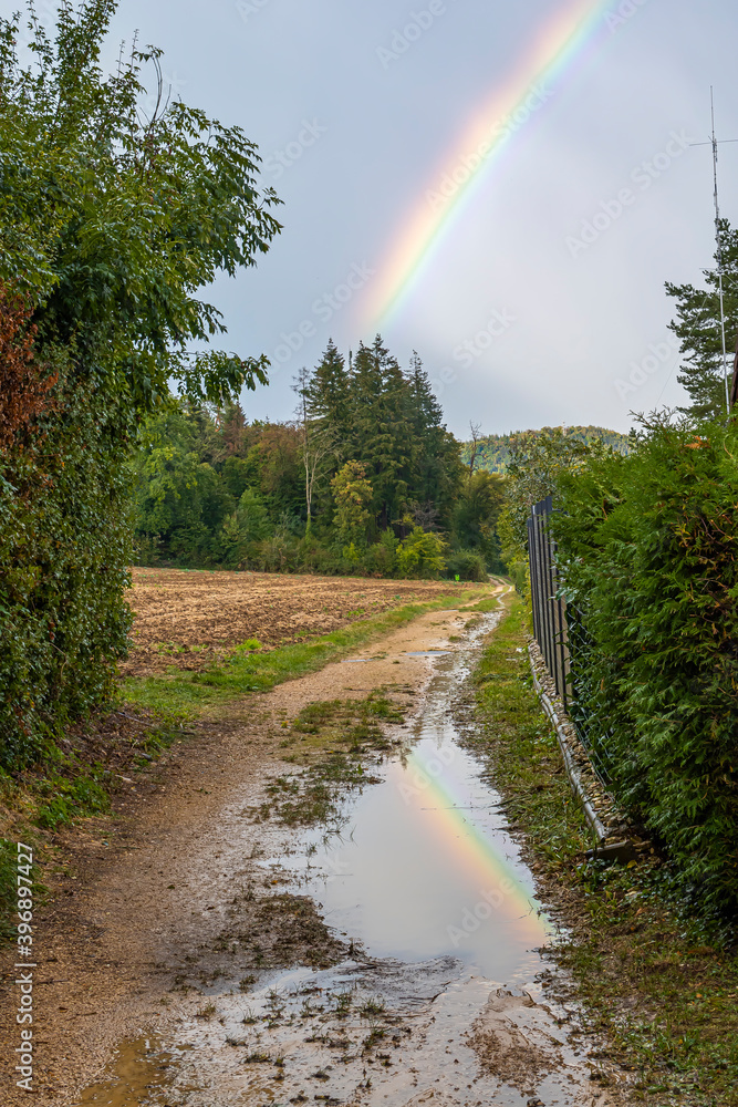 A rainbow in the sky and its reflection in a puddle
