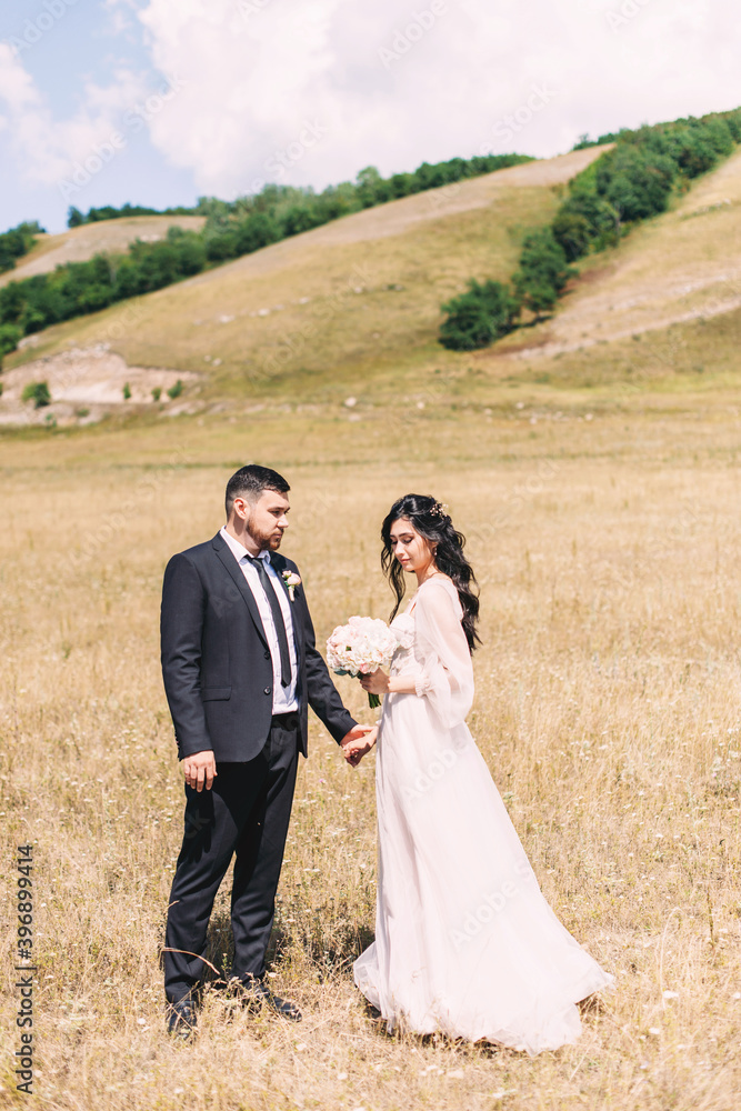 Wedding couple in luxurious clothes on the background of natural landscape Wedding couple in luxurious clothes on the background of natural landscape