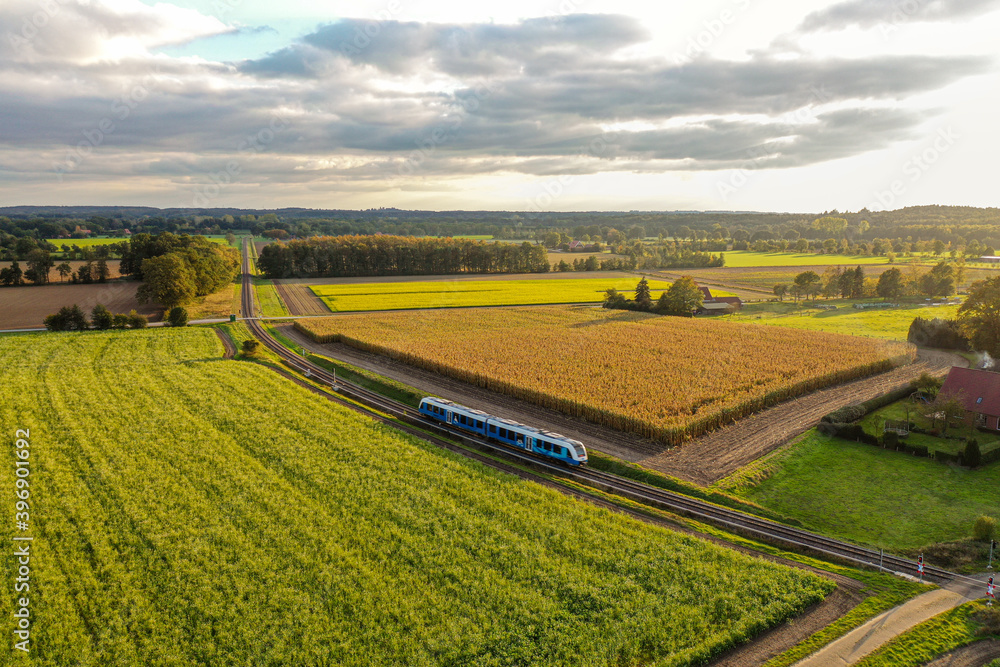 Fototapeta premium landscape in the country