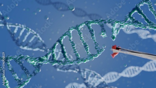 DNA strands to illustrate de CRISPR technology for genetic manipulation photo