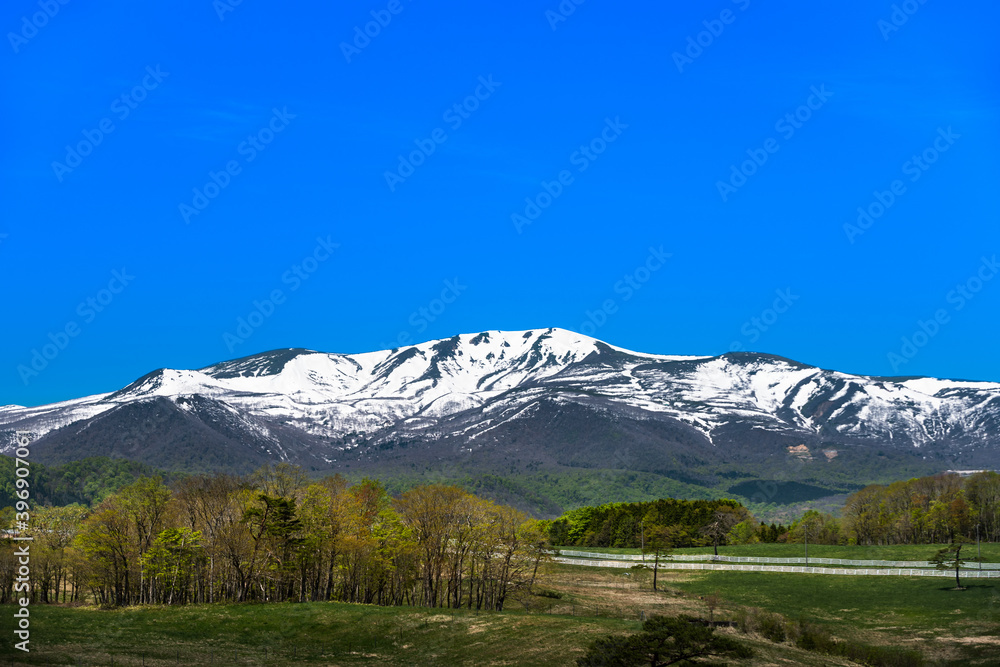 Obraz premium 日本 残雪の栗駒国定公園栗駒山と高原の牧場