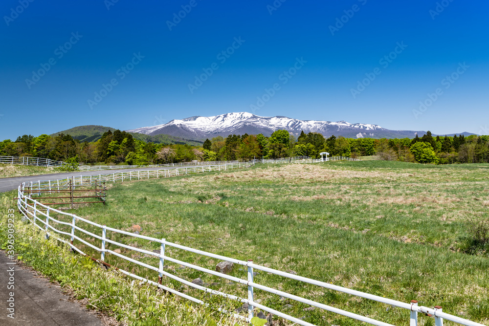 日本　残雪の栗駒国定公園栗駒山と高原の牧場