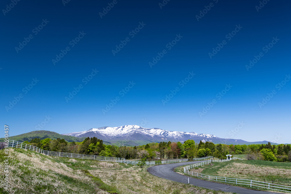 日本　残雪の栗駒国定公園栗駒山と高原の牧場