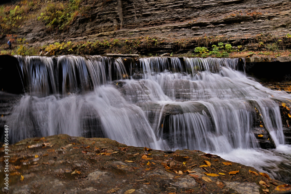 Fototapeta premium waterfall in the forest