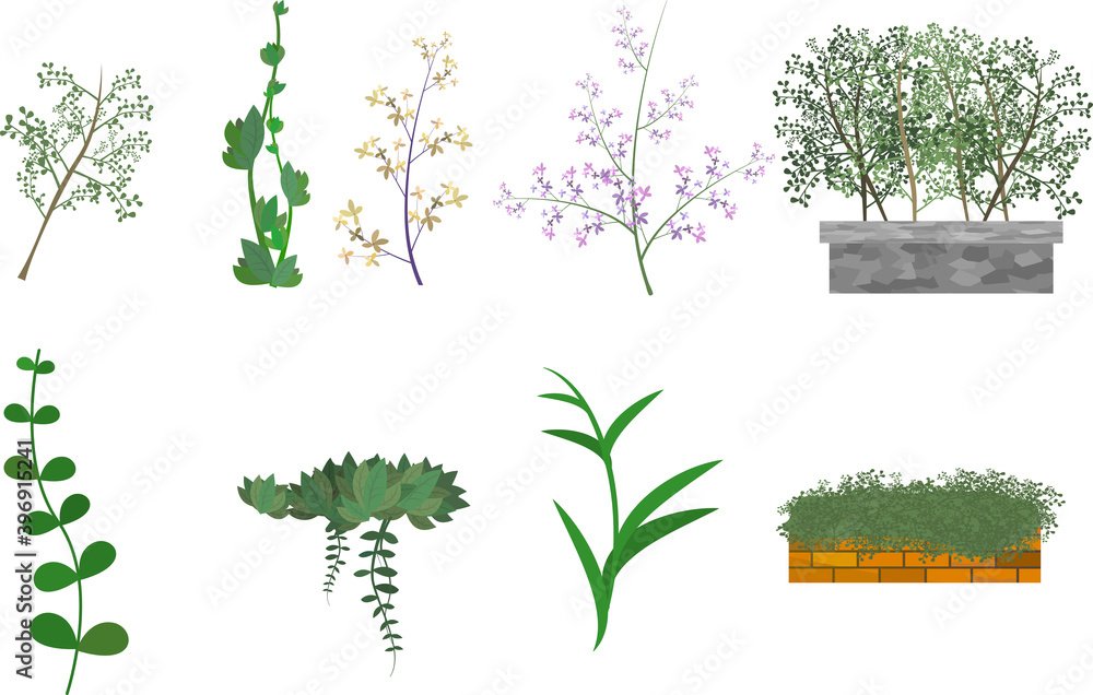 植物 草 花壇 飾り 装飾背景イラスト素材 Stock Vector Adobe Stock 植物 草 花壇 飾り 装飾背景イラスト素材 Stock Vector Adobe Stock