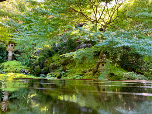 japanese reflection garden in temple