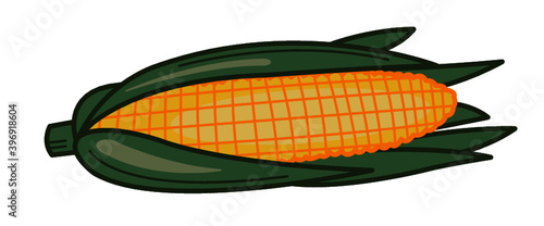 ear of corn