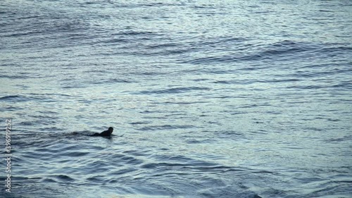 Wallpaper Mural India Ocean Sunrise: Northern Sydney Morning Torontodigital.ca