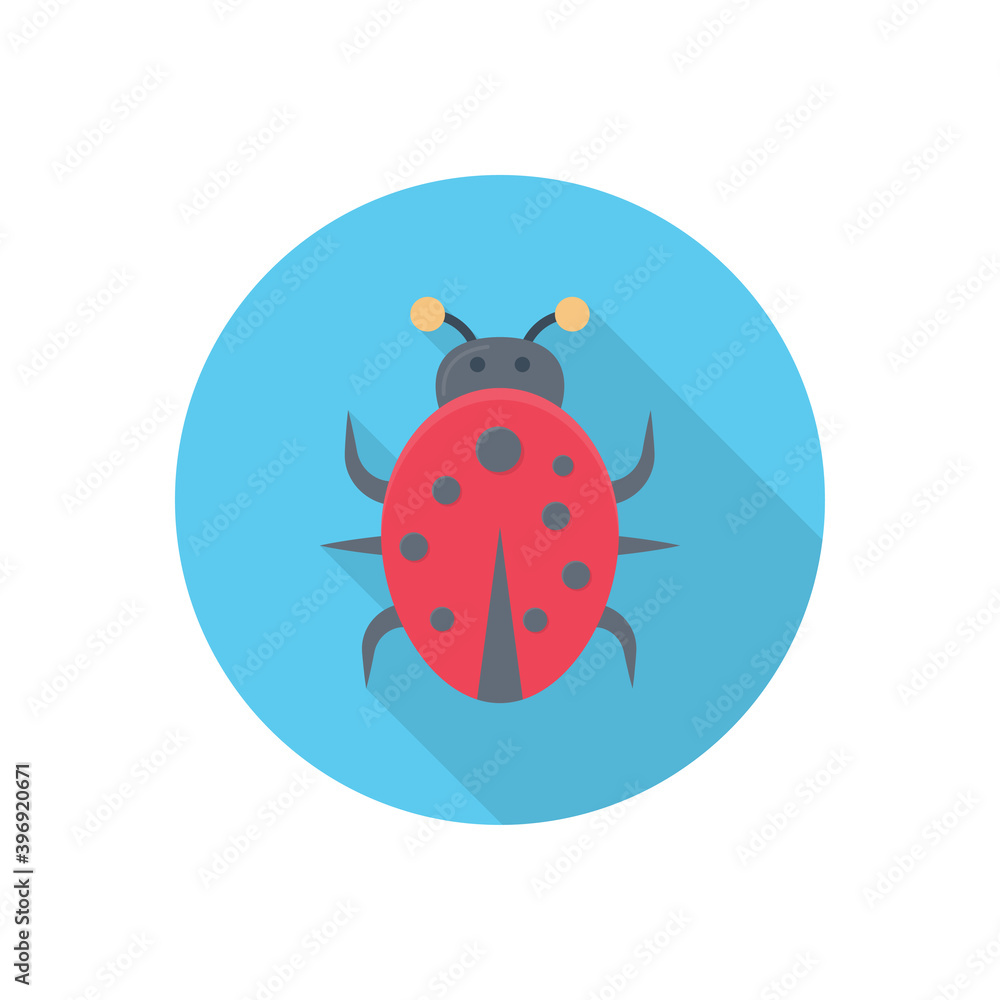 bug bug