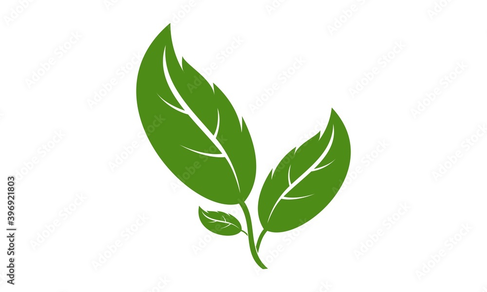 Plant illustration vector design