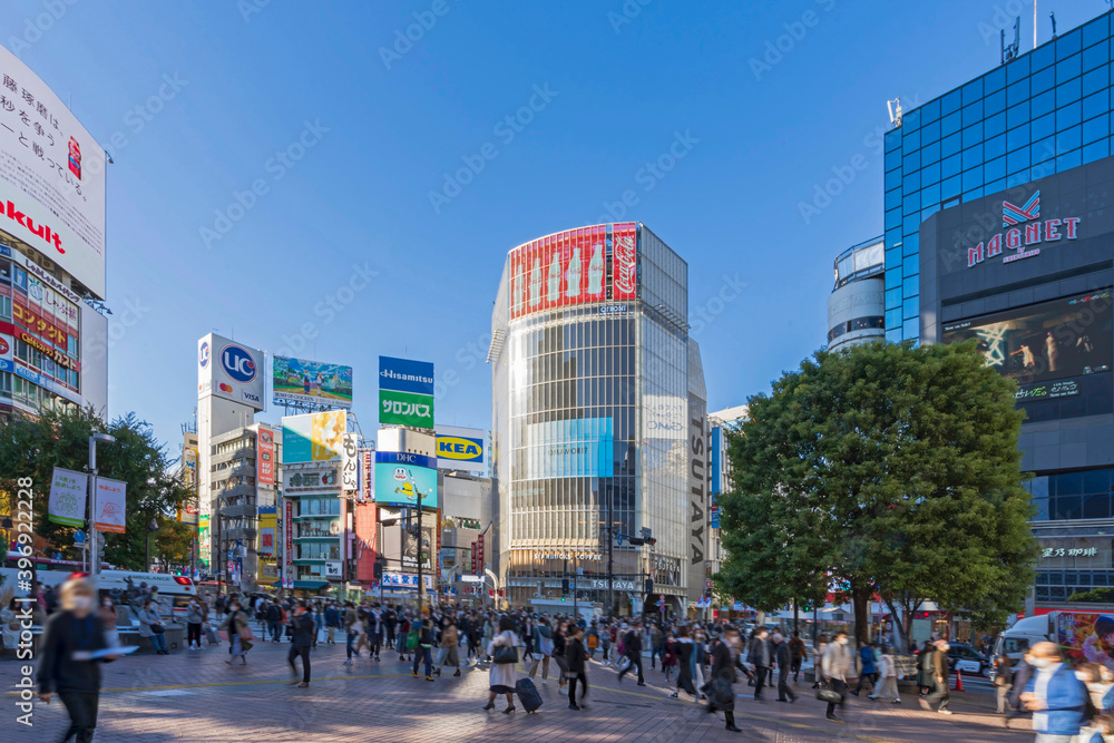 Naklejka premium 【東京都】都市景観 渋谷の街並み スクランブル交差点 2020年11月