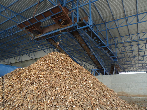 Cassava factories processed and sold to ethanol factories and livestock farmers in Thailand.
