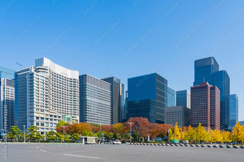 【東京都】都市風景 丸の内行幸通りイチョウ並木 Stock Photo Adobe Stock