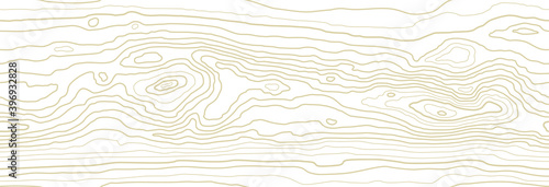 Seamless wooden pattern. Wood grain texture. Dense lines. Abstract white background. Vector illustration