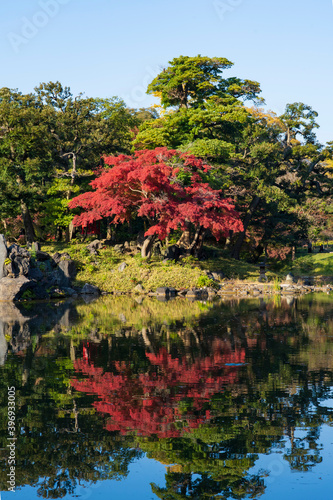 【東京都】秋の紅葉が美しい小石川後楽園