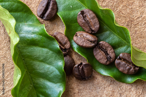 roasted coffee beans with green leaf and white flower on the wooden table in Brazil