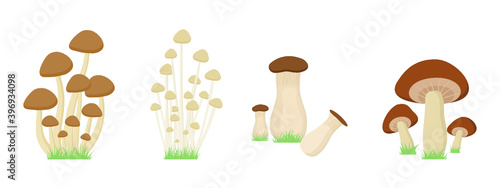 set of Mushroom with grass on white background.