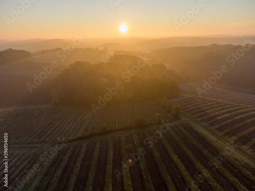 Bordeaux vineyard in autumn under the frost and fog, France